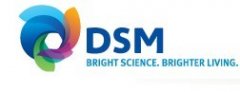 我司正式成為DSM公司PA46 代理銷(xiāo)售商